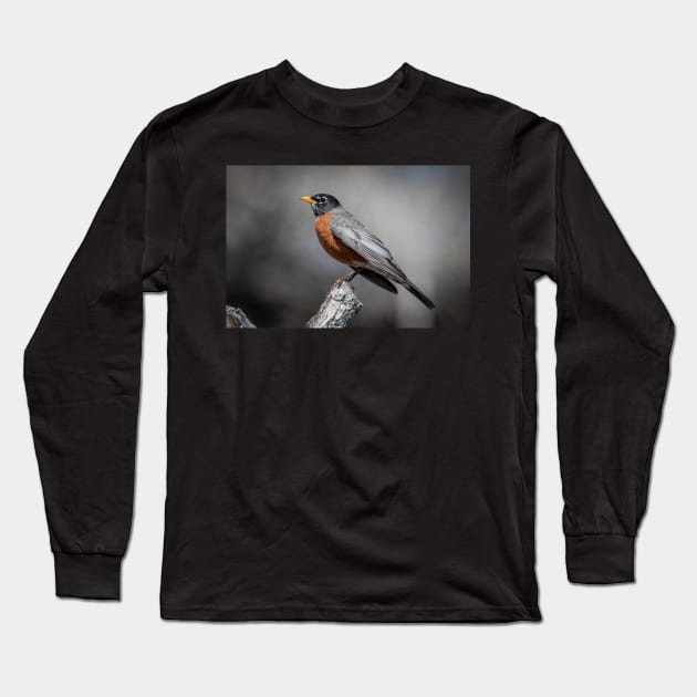 American Robin Long Sleeve T-Shirt by gdb2